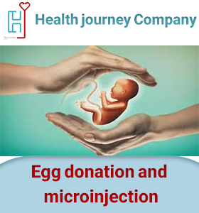 Egg donation and microinjection